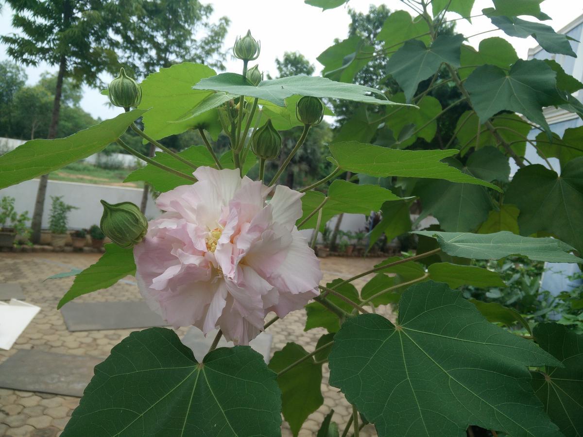 Hotel La Grace Integral Retreat Pondicherry Esterno foto